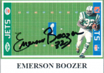 Pop Ruffalo just received this TTM autograph item from the player Emerson Boozer